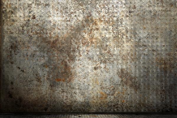 2025年属猪的运势怎么样