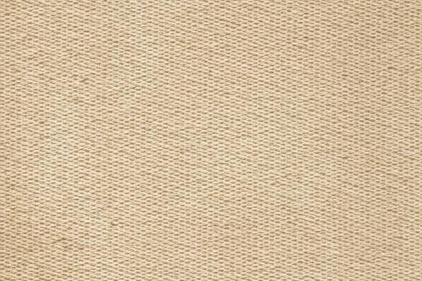 苏珊米勒 今日星座运势查询2024.11.22