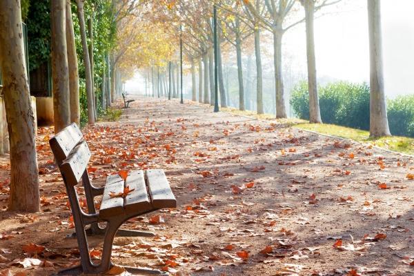 梦到了窗户有人意味着什么