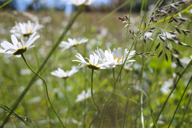 2025年属兔女1987全年运势
