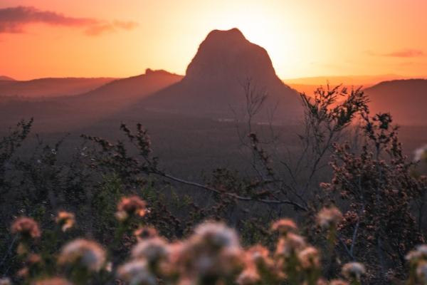 梦到了房子没有窗户预兆了什么吗