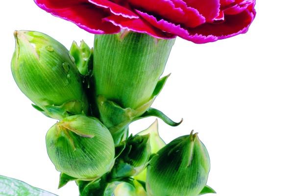 2025年事业原地徘徊的生肖女