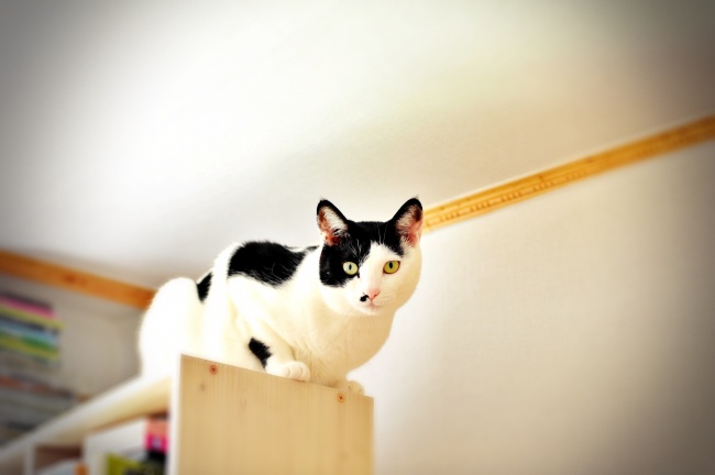 梦到大包小包是好是坏