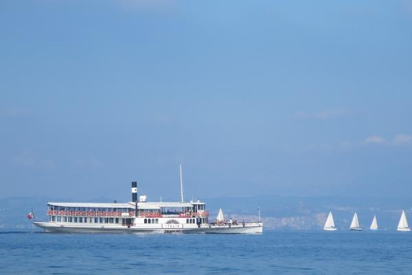 梦到了脸上长红点是好是坏