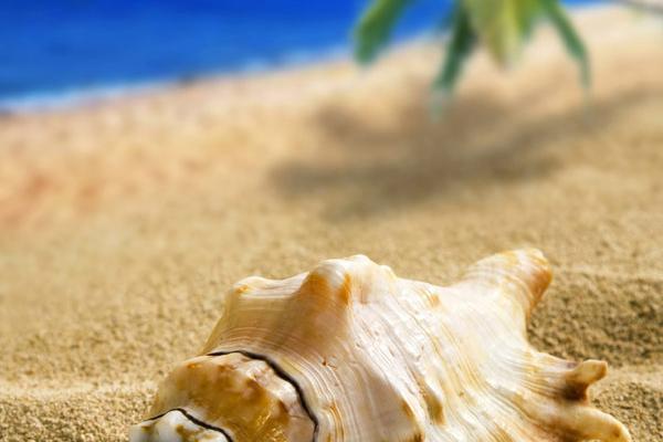 梦到脏的厕所是什么兆头