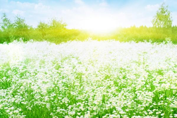 99年属兔一生的大运在哪几年