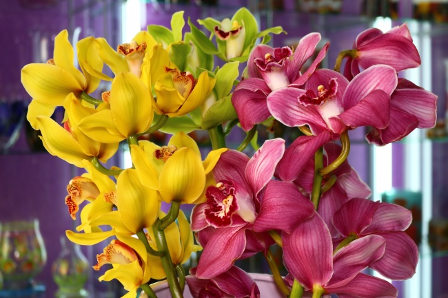 梦到了与老师是怎么回事