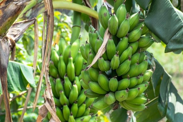 梦到准备剪头发怎么说