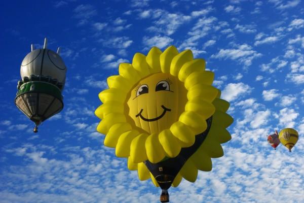 2006年属狗人一生命运及婚姻