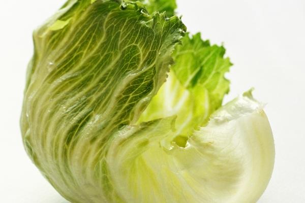 梦见鸟死亡什么寓意