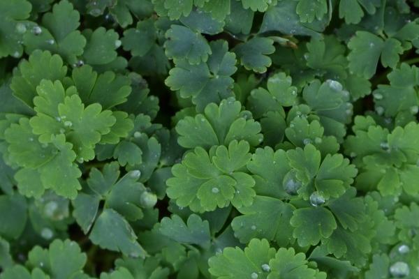 梦到大河大水有什么征兆