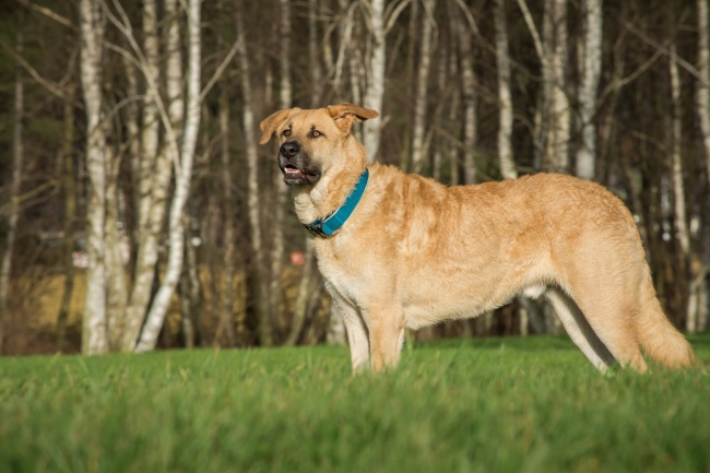 梦到小零食预示了什么