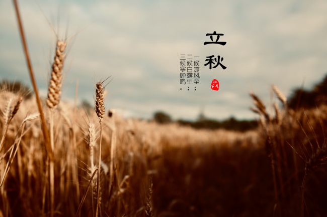 梦见被解雇了有什么意思