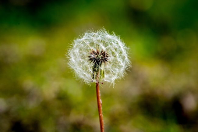 梦到了小时候的弟弟的预兆