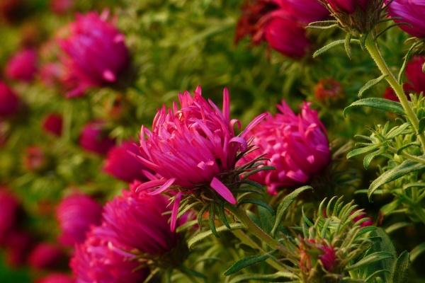 梦到了己故的亲戚预示着什么