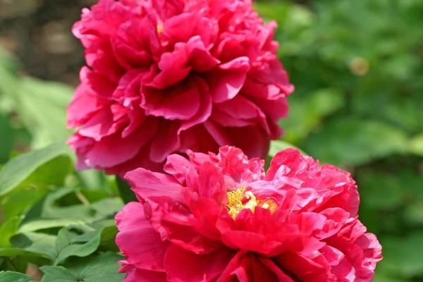 梦见翻土地啥意思