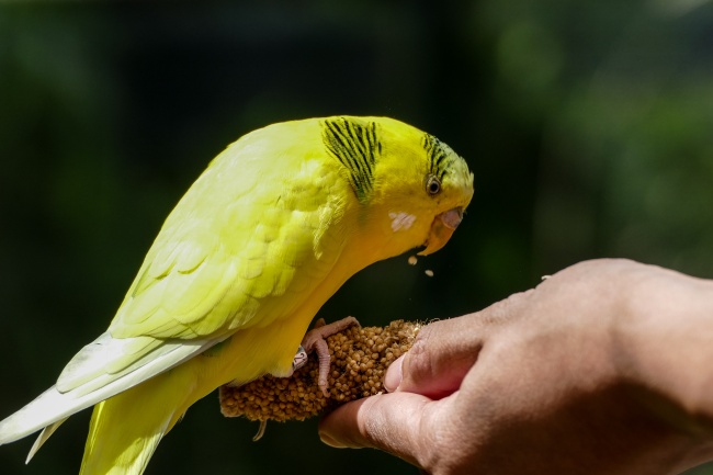 梦见老公有前妻怎么样