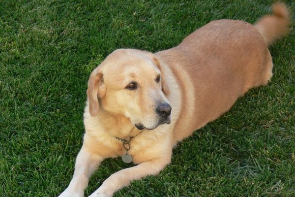 梦见唱歌忘词有什么说法