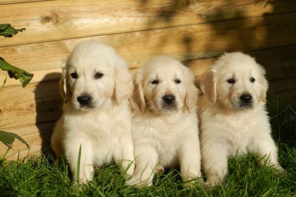 梦到七彩光是什么启示