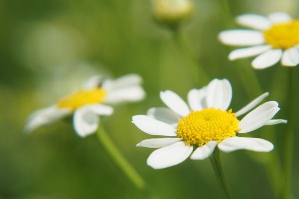 梦到拿吃的预示着什么