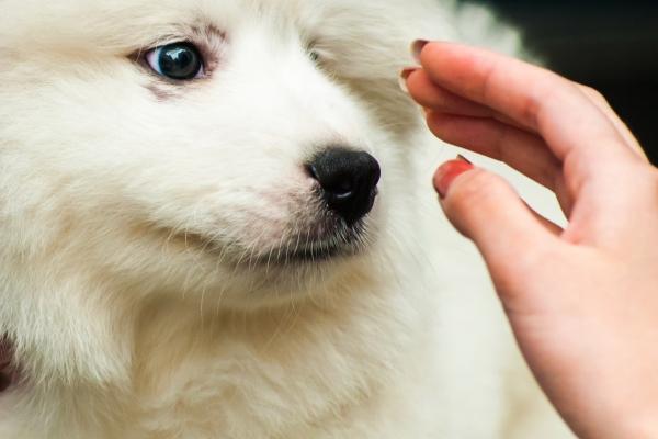 梦见去世的姨夫什么寓意