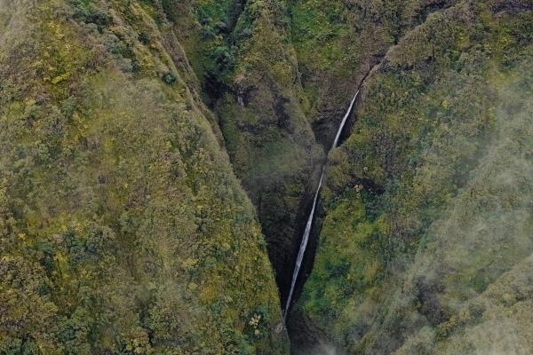 属鸡的房子做什么方向最好