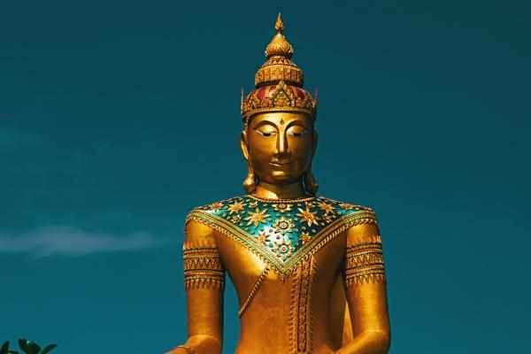 梦到忘了回家的路预示什么