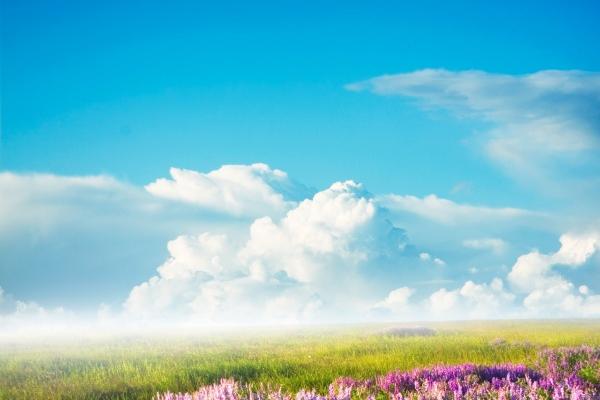 属虎每个月份出生解析