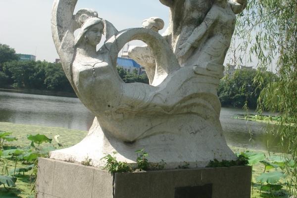 工作很出色的生肖女