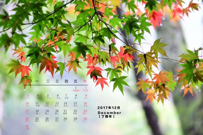 仙指阁运势 十二星座2024年12月运势详解