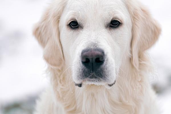 属蛇2025年运气如何