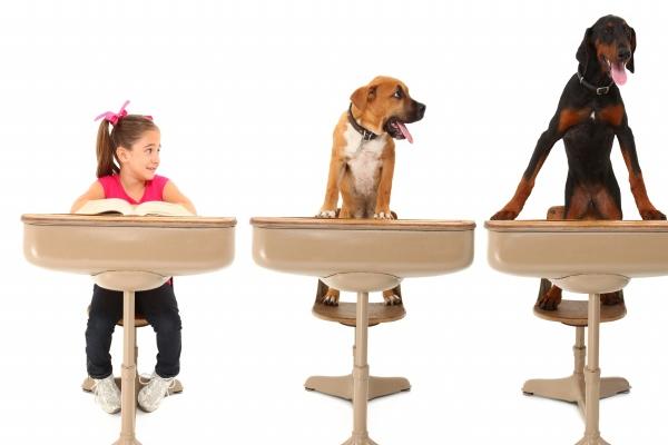 属鼠的人在2025蛇年运气如何