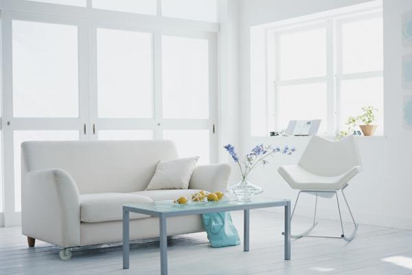 梦到黄色蜘蛛是吉兆吗?