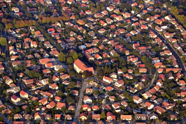 什么生肖最旺虎的财运