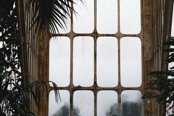 梦到了浪费粮食是什么意思