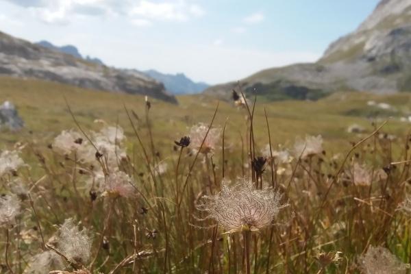 梦见故人吃饭是啥预兆