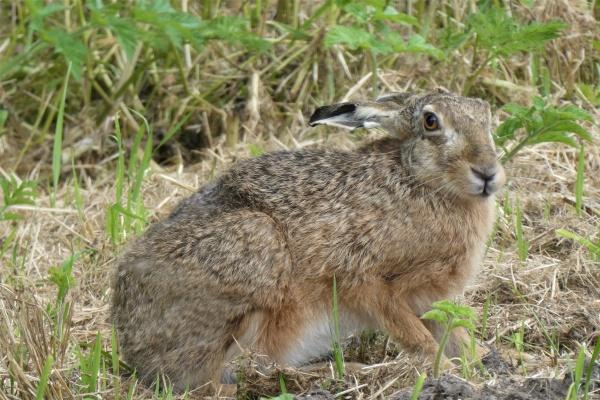 梦到给死去的人过生日是什么征兆