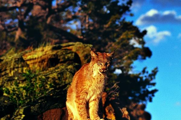 梦到了快迟到会怎么样