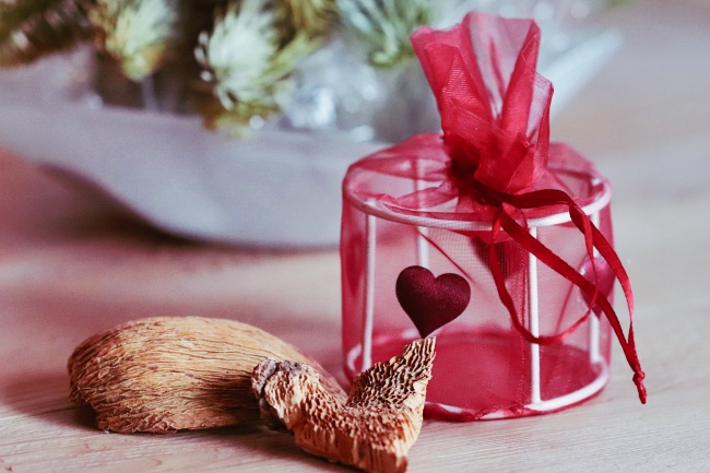 妈属猴爸属马几月份蛇好