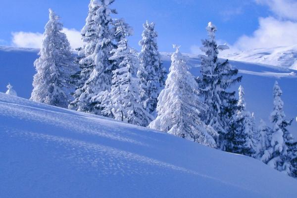 两个属兔人的婚后运势