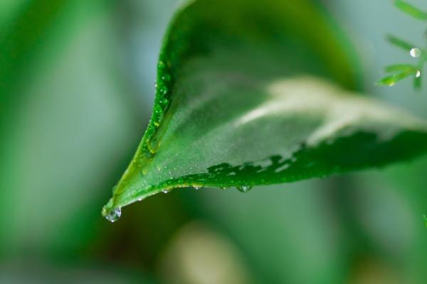 梦见补助是什么预兆？