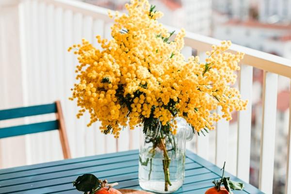 属鼠缺火的请什么财神