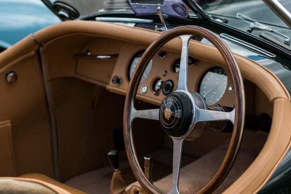 属牛人什么时候能好运，揭示属牛人的运势和命运