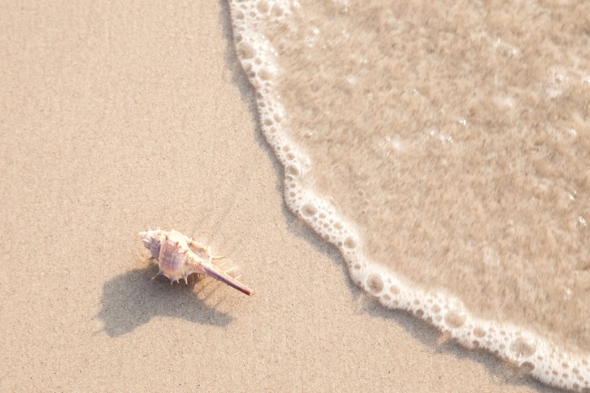 属兔人一碰什么就发财