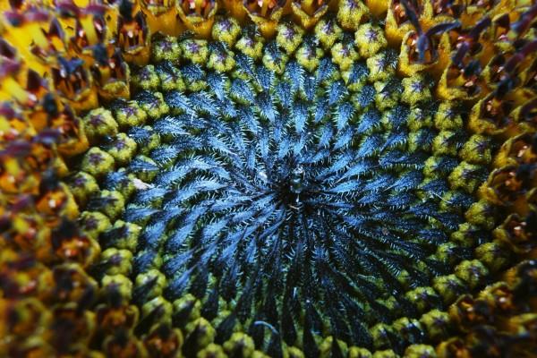 属兔人要珍惜的2个人