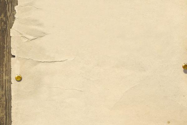 属蛇和属狗的婚姻怎么样