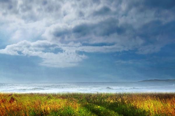 属马最命苦的3个生肖