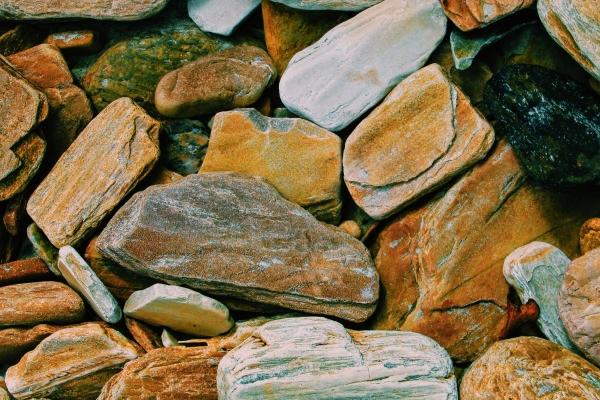 2025属牛要小心一个人，属牛要远离谁