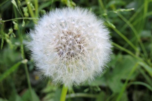 1991年属羊2025蛇年运势