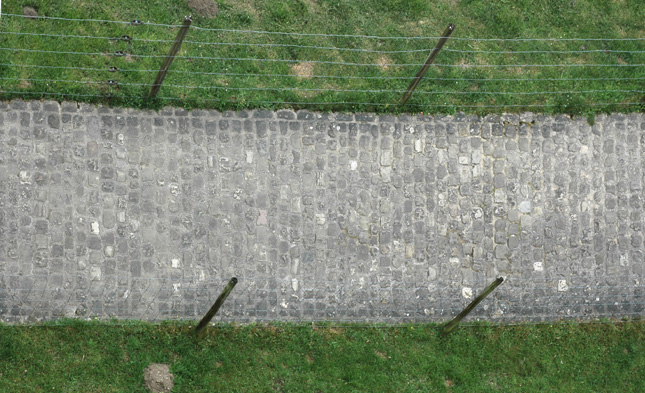 属鸡的人2025蛇好还是2026马好，未来两年运势发展怎样